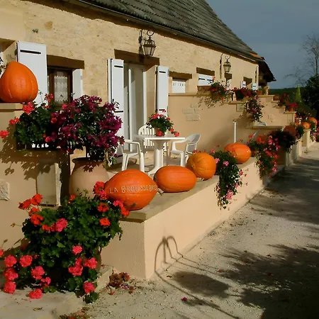 Charly * Salignac Eyvigues