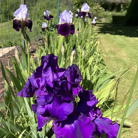Charly Salignac Eyvigues